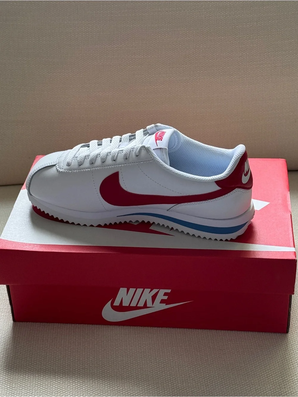 Nike low profile